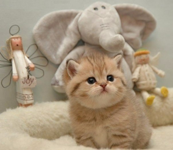   - 27  2016  10:15 - 2