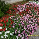 ���� �����, �����, 78 ��� - ��������� 6 ����� 2017 � ������ ������ ��������