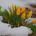 ���� �����, ���� - ��������� 2 ������� 2017 � ������ ������ ��������