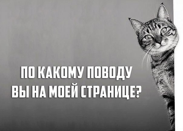 Высказывания, мысли, цитаты помогающие в трудную минуту не потерять себя...