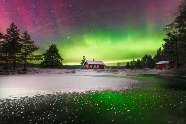      . Ole Henrik Skjelstad - 4