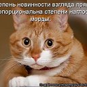 ���� �������, ����������� - ��������� 22 ������� 2016 � ������ ������� �����