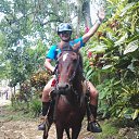 ���� �����, ������ - ��������� 18 ������ 2017 � ������ ���� ����������