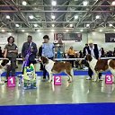 ������������ ��� *���������* 2012, ������ �� ������� ���� �������