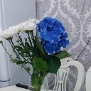 ���� ������, ��������� - ��������� 29 ������ 2017