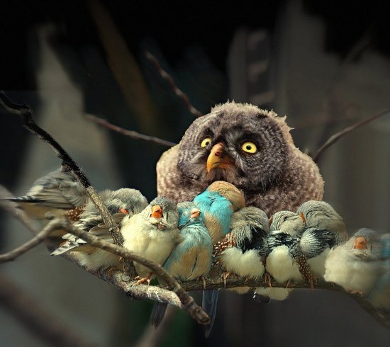 ������ ���������� ������� � ���, ��� ������ ���� ���������. ������ ���������� � ��� �����.