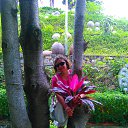 ������� . ������� 2016 �� ������� ���� ����������