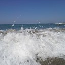 ���� Alvydas, �������, 64 ���� - ��������� 18 �������� 2016 � ������ ������ ��������
