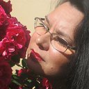 ���� �����, �����, 54 ���� - ��������� 24 ������� 2016 � ������ ���� ����������