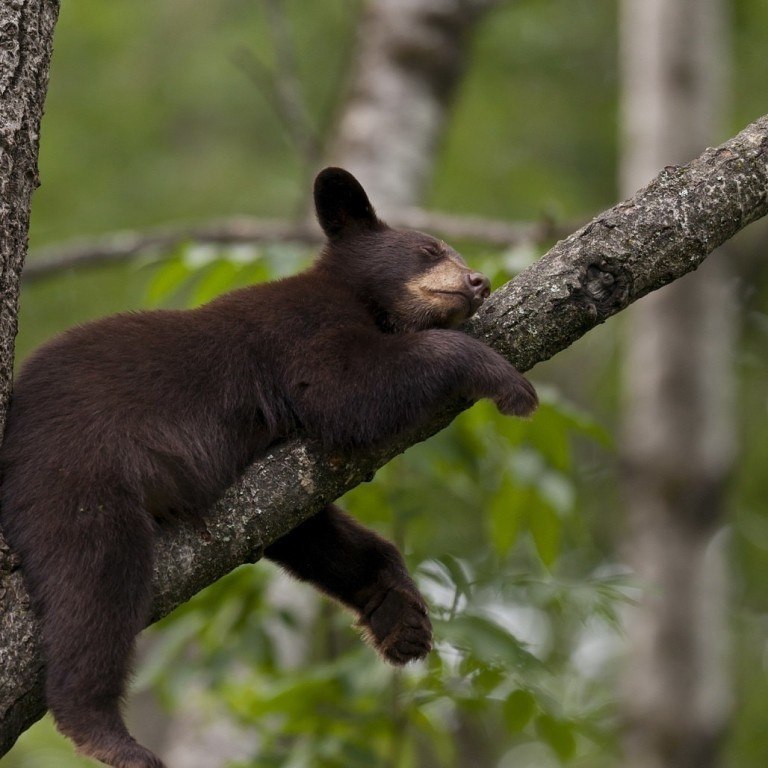  -    ,      .  ! - 2