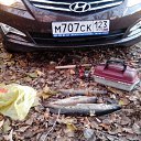 ���� �������, ���������, 67 ��� - ��������� 28 ������ 2016