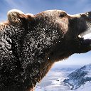  ,  , 45  -  31  2016    