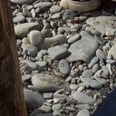 ���� Aleksandr, ��������� - ��������� 19 �������� 2016 � ������ ������ ���� �������� 2016 ���