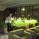 ���� �����, ����������, 64 ���� - ��������� 12 ������� 2017 � ������ ���� ����������