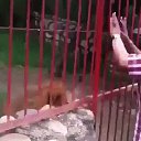 ���� ������, �������� - ��������� 5 ����� 2017 � ������ ������