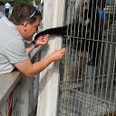 ���� Salavat, ���� - ��������� 9 ������� 2016 � ������ �����