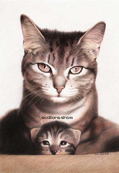 #пошаговые_уроки@ele_art_school. #графика@ele_art_school Кот цветными карандашами - 9