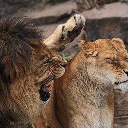 ���� ������ �����, ����, 59 ��� - ��������� 5 ������ 2017