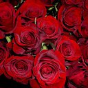 ���� Miasnik, ������, 70 ��� - ��������� 12 ������� 2016 � ������ ������ ��������