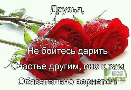 ��� � ������ - 12 ������ 2017 � 12:13
