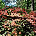 22.05.2016 �� ������� �������� ������������ ���.�