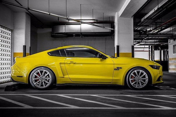 Roush Ford Mustang GT 5.0