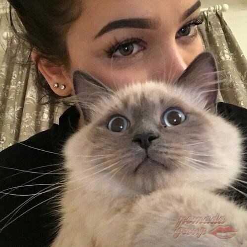 ������� ������ ������ - ������ ������ �� ����, ��� �� ������! ���������� � ������ ������� �� ������ ...