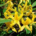 22.05.2016 �� ������� �������� ������������ ���.�