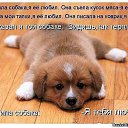 ��������� ����.. �� ������� ���� ����������