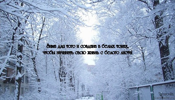 .Life.Is.Life. - 21  2016  22:18