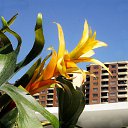  ,  -  20  2016        ͻ