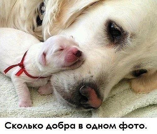      ...)) - 3