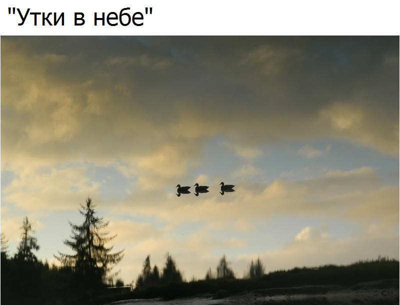  - 7  2017  01:33