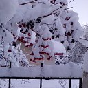 ���� ������, �����, 60 ��� - ��������� 12 ������� 2016 � ������ ���� ����������