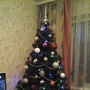 ���� ����, ������, 45 ��� - ��������� 26 ������� 2016 � ������ ������ ��������