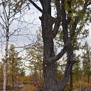 ���� �����, ����� ������� - ��������� 9 ������ 2016 � ������ �����-������߻