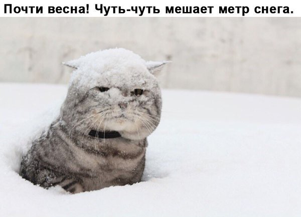     - 23  2017  09:10