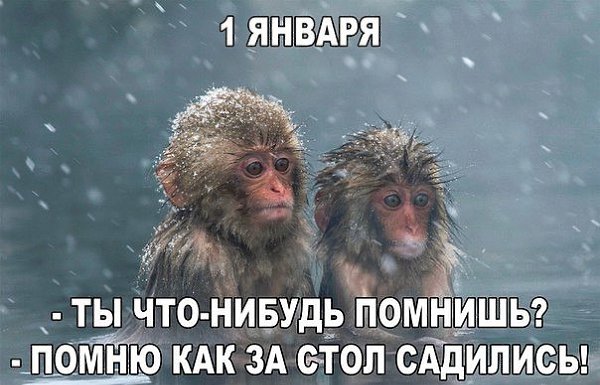 Comedy Club - 1  2017  22:52