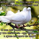 ���� ������, ������, 50 ��� - ��������� 19 �������� 2016 � ������ ������ ��������