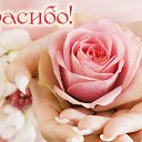  Alyonouchka...,  -  7  2017    