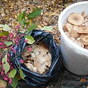 ���� ������, ���������, 65 ��� - ��������� 23 ����� 2017 � ������ �������