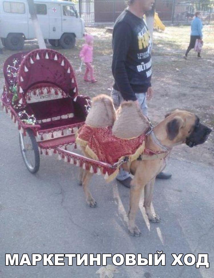 ������ �� ��� :D - 9 ����� 2017 � 17:12