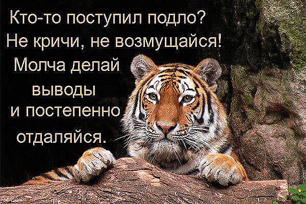 .https://fotostrana.ru/away?to=/sl/kxC2 - 19  2016  11:11