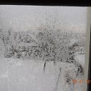 ���� ���������, ������, 66 ��� - ��������� 8 ������� 2017 � ������ ������ ��������