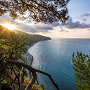 ���� Sveta, ������������, 62 ���� - ��������� 12 ����� 2017 � ������ ���� ����������
