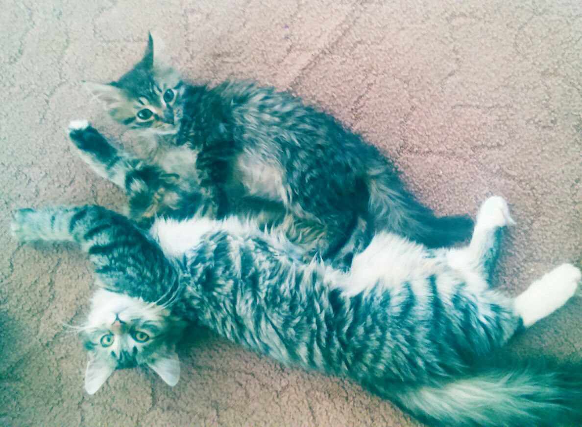 #_. .     ,   ,  , ... - 2