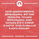 ���� �������, �����-���������, 58 ��� - ��������� 29 �������� 2016 � ������ ���� ����������