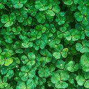 ���� ������, ���������, 64 ���� - ��������� 19 ������� 2017 � ������ ������ ��������