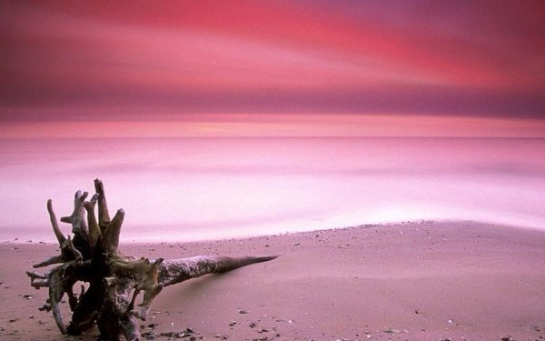      : Pink Sands Beach,  ,  .  ,  ... - 4