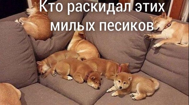    - 27  2016  17:20